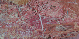 Under Pressure, detail of the red version. By contemporary Colombian artist Santiago Montoya.